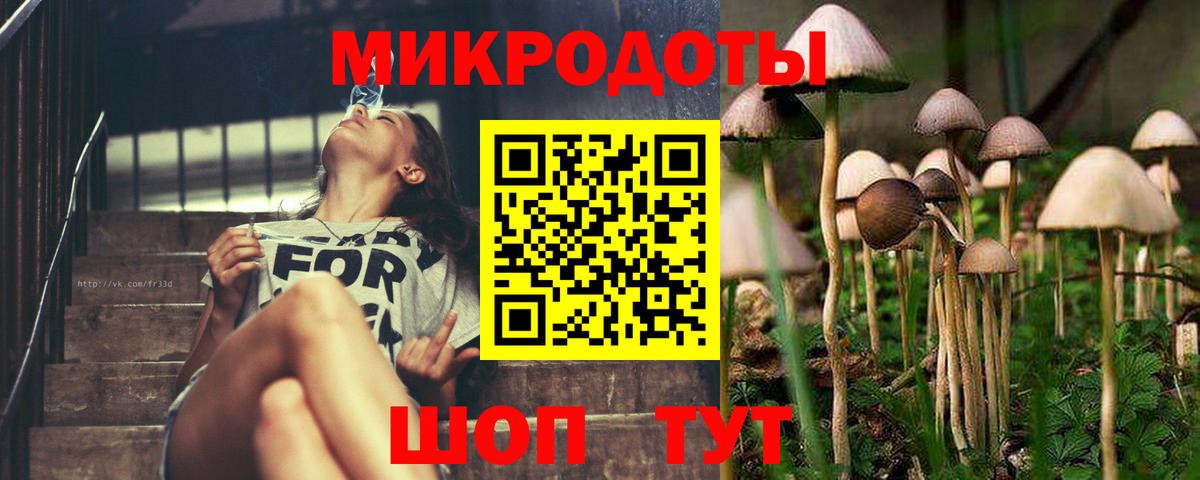 Псилоцибиновые грибы прущие грибы Алексин